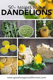 50 Dandelion Recipes Drinks Sweets Soap Remedies More Dandelion Recipes Flower Food Edible Flowers Recipes