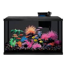 We did not find results for: Top Fin Led Black Glass Aquarium Fish Starter Kits Petsmart