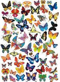 Schmetterlingsmotive bringen einen hauch von frühling in die kartengestaltung. Pema Wandtattoo W549 50 Lustig Bunte Schmetterlinge Gedruckt Und Vorgestanzt Auf Din A4 Bogen Amazo Schmetterlingskunst Niedliche Hintergrundbilder Art Floral