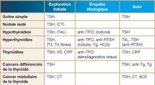 Certaines maladies thyroïdiennes fréquentes surviennent lorsque le système immunitaire se dérègle et produit des anticorps contre sa propre glande thyroïde. Exploration Biologique De La Thyroide Sciencedirect