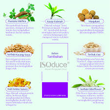 Asid folat yang baik dapat membantu untuk pertumbuhan otak contohnya kacang soya, bayam, brokoli dan jeruk. Isoduce Integrated Ovaries Protection Wellcare Malaysia