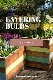 Container Gardening Layering Bulbs For Beautiful Blooms In Pots Container Garden Design Container Gardening Garden Bulbs