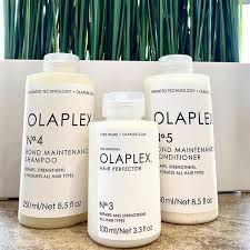 Monastic grange, a farming estate belonging to a monastery. Products Elevate Salon