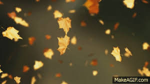 <b>leaves falling hallmark giphy channel fall dancing leaf. Falling Leaves Gif Free