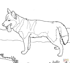 Make a coloring book with husky puppy for one click. Siberian Husky Dog Dog Coloring Page Puppy Coloring Pages Cat Coloring Page