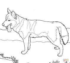 Coloring books easy colouring sheets for kids realistic. Siberian Husky Dog Dog Coloring Page Puppy Coloring Pages Realistic Dog