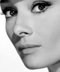 280 Audrey Hepburn ideas