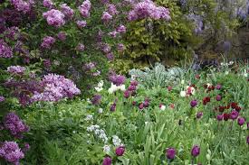 Gartengestaltung Gartenplanung Gartenberatung Fur Naturnahe Garten In 2020 Naturnaher Garten Garten Gartenplanung