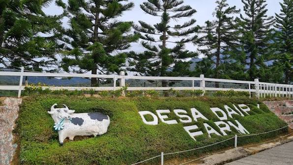 Desa Cattle Dairy Farm – Sabah Tourism Board