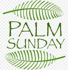 Palm leaf isolated on white. Aloysius Chicago Christian Palm Sunday Clip Art Png Image With Transparent Background Toppng