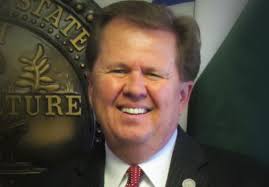 Meet the candidates, five seats up for election in Spring Hill