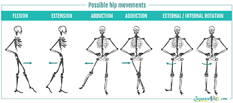 Mighty Tadasana How To Use Mountain Pose To Train Your Balance And Strengthen Your Hips And Ankles Part 2 Sequence Wiz Anatomia Yoga Desarrollo Personal