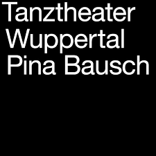 Αποτέλεσμα εικόνας για dimitris papaioannou wuppertal New Piece I