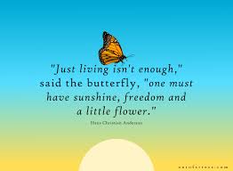 We delight in the beauty of the butterfly, but rarely admit the beauty it has gone through to achieve that beauty. will fit various frames. 36 Butterfly Quotes That Will Inspire And Motivate You