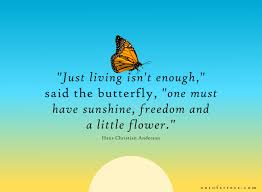 We did not find results for: 36 Butterfly Quotes That Will Inspire And Motivate You