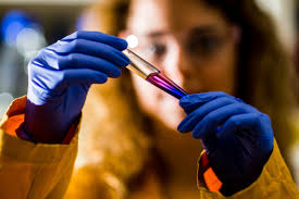 Molecular Medicine Division