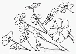 These colors occur naturally in nature and are on the light spectrum, so no color combine to make blue. Mayflower Coloring Pages Coloring Pages Amp Pictures Imagixs Coloring Home