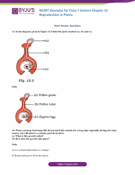 Label parts of an egg worksheet. Ncert Exemplar Solutions For Class 7 Science Chapter 12 Reproduction In Plants
