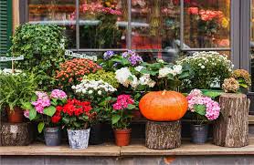 You can send your sympathy in the guestbook provided and share it with the family. Steve S Flowers And Gifts Offers Great Deals For Flowers Plants And Gifts On Black Friday And All Year Steve S Flowers Blog