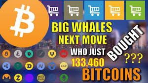 Chinese market gpu prices drop amid crypto crackdown. Who Bought 133460 Bitcoins Bitcoin Whales Next Move Cryptocurrency News Hindi Who Bought 133460 Bitcoins Bitcoin Wha Cryptocurrency News Bitcoin Cryptocurrency