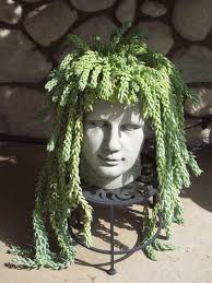 Paradis Express That S So Potted Jardinage En Pots Decoration Jardin Statue De Jardin