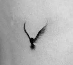 I Want This On My Wrist To Symbolize Freedom Freedom To Explore Freedom To Create My Own Path Freedom To Phoenix Bird Tattoos Phoenix Tattoo Freedom Tattoos