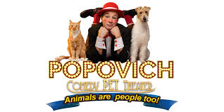 For the best ticket prices for popovich comedy pet theater, you can follow the link above this description and enjoy a 50% discount on popovich. Popovich Comedy Pet Theater Celebrates 13 Years On Las Vegas Strip Las Vegas Baby Magazine