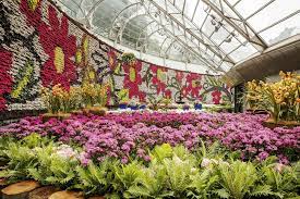 Pin By Flowers In Heart On Flower Show Art Royal Botanic Gardens Sydney Botanical Gardens Flower Garden Layouts