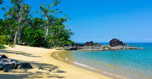 Ne perdez plus votre temps à chercher un vol pas cher, mappy vous permet de comparer tous les prix et les horaires pour réserver votre billet d'avion de lyon à amsterdam. Flight Saint Denis Nosy Be Air Austral Book Your Flight To Nosy Be