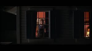 Thora In American Beauty Thora Birch Image 15993889 Fanpop