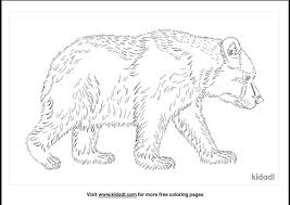 Contact paper, tissue paper, googly eyes. Cave Bear Coloring Pages Free Animals Coloring Pages Kidadl