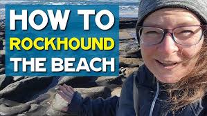 Longnose lancetfish washes up