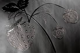 Te explicamos cómo influyen los colores en la conducta y emociones de los niños y cómo puedes utilizarlos según sea su carácter en el mobiliario de su cuarto, juguetes y ropa. El Libro Negro De Los Colores Un Cuento Especial Para Ninos Videntes E Invidentes Diversidadmadrid