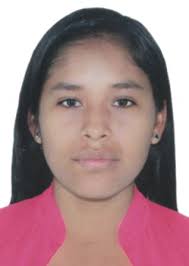 Ingresos de Otorongos Elecciones 2022