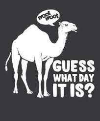 Especially if your name is mike! Humpday Shirt Hump Day Camel Wednesday Softstyle Funny Guess What Day It Is Woot Ebay