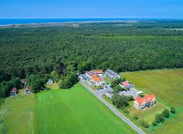 Bos designs and produces innovative mechatronics, kinematics and plastic systems for automobiles that set the standard in convenience, safety, light weight construction and power efficiency. Appartementen Hotel Bos En Duin Bewertungen Fotos Preisvergleich Den Hoorn Niederlande Tripadvisor