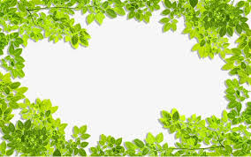 You can try to run the following code to learn how to style the left border −. Pin On Background