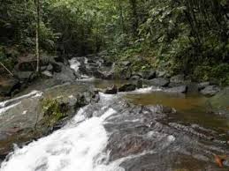 ^ gabai waterfall, hulu langat. Sungai Gabai Waterfall Hulu Langat Selangor Waterfall Water Selangor