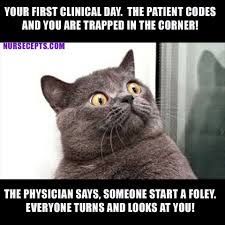 49 Funny Memes Especially For Nursing Students Nursecepts Nursing School Memes Nursing Student Humor Nurse Memes Humor