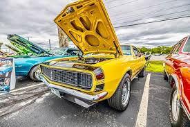 Image result for Yellow Accent 1981 GM