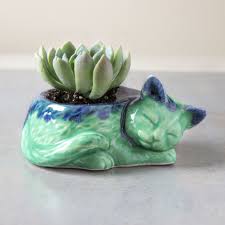 Put them anywhere, and their style and color illuminates the area in a bath of beauty, complimenting the flowers within. Kitty Planter Succulent Cactus Handmade Ceramic Pottery Planter Blueroompottery Plus Ceramic Succulent Planter Ceramic Succulent Ceramic Plant Pots