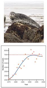 Learn vocabulary, terms, and more with. Population Ecology Review Article Khan Academy