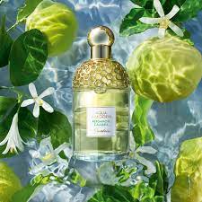 Check spelling or type a new query. Aqua Allegoria Bergamote Calabria Guerlain