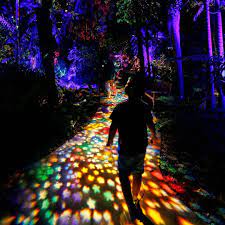 The Economist On Instagram Visitors Walk Along An Illuminated Walkway At The Nightgarden Display In Fairchil Fairchild Tropical Botanic Garden Tropical Miami