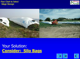 Deciding On A Silage Storage Type Ppt Download