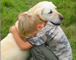 Cocuklarin Hayvan Sevgisi Foto Galerisi 19 29 Kasim 2011 Sali Komik Hayvanlar Labrador Retrievers Kopek