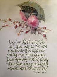 Birds Of The Air Bible Verse Pin On Bible Verse