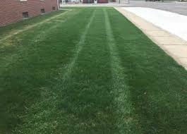 Our expert tree and shrub maintenance program provides routine. Lawn Care Services Michiana Michigan Indiana Lawn Mowing Spring Yard Clean Up Fall Clean Up Sidewalk Edging