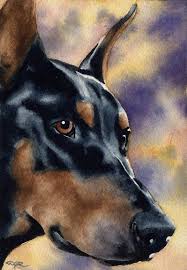 Doberman Pinscher Art Print By Artist Dj Rogers Etsy Dog Print Art Dog Paintings Dog Art
