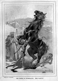 The Story of Alexander the Great's Stallion | Lessons from History